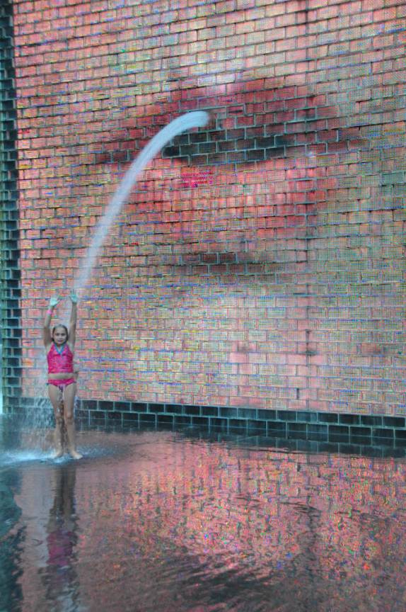 A Lari toma banho na fonte do parque Millenium, em Chicago, Illinois, nos Estados Unidos